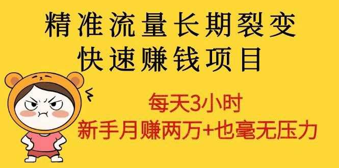 精准流量长期裂变快速赚钱项目：每天3小时 新手月赚两万+也毫无压力