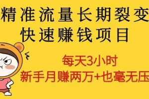 精准流量长期裂变快速赚钱项目：每天3小时 新手月赚两万+也毫无压力