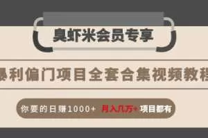 暴利偏门项目全套合集视频教程：你要的日赚1000+月入几万+项目都有