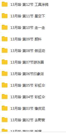 13个月宝宝早教训练方案课程视频全套(56集)