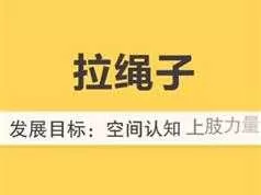 15个月宝宝早教游戏训练课程视频全套（45集）