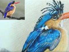 彩铅动物视频教程31讲_手绘动物教程_超写实的彩铅动物