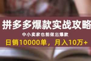 拼多多爆款实战攻略：中小卖家也能做出爆款，日销10000单月入10w+