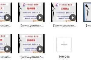 麦氏理论十大战法 内部资料学习视频资料全套