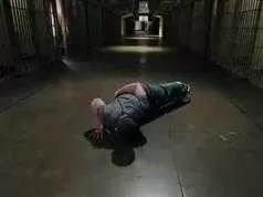 囚徒健身俯卧撑教程_花式俯卧撑教程_俯卧撑系列（配套中文字幕视频全集）