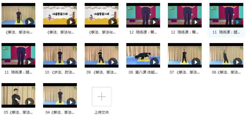 咏春拳入门教学视频课程内容目录