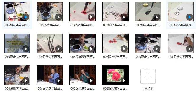 徐湛国画教程_跟徐湛学国画视频_徐湛写意花鸟国画视频教程目录