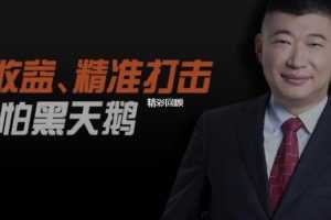 低风险也能获取超额稳定收益：将盈亏比做到极致的期权实战策略