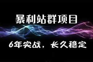 暴疯团队VIP站群赚钱项目培训-真正自动化赚钱项目