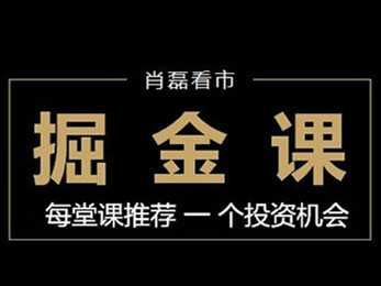 肖磊看市丨点对点掘金课（2017 2018 2019全集）