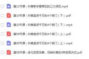 从0到月入百万， 抖音电商快速变现必备12堂实战课丨牛气学堂（完结）