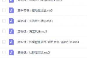 2019暴利网赚核心项目实战班:大佬讲课,实战解析！