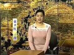 围棋教学-布局定式以后的变化_袁卫红中级围棋视频讲座