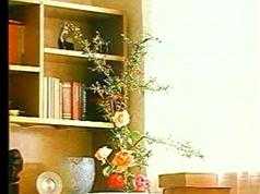 新手初学家庭插花教程视频（8集）