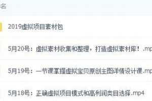 2019年虚拟项目：自动盈利系统（虚拟项目素材包）