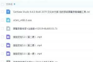 《微信变现5.0》项目可0投资操作，新手老鸟可操作，月入20000+【全套课程+工具】