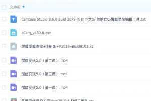 《微信变现5.0》项目可0投资操作，新手老鸟可操作，月入20000+【全套课程+工具】