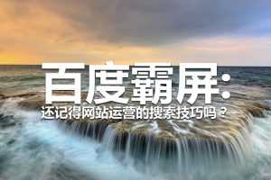 百度霸屏特训营，通过百度霸屏运营赚钱，价值1220元