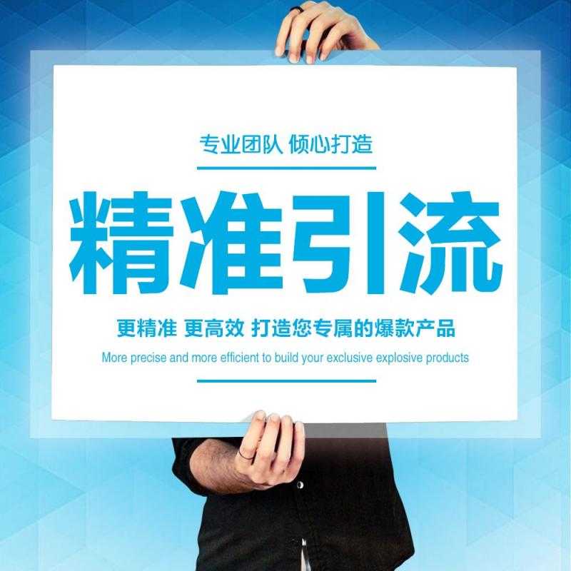 《精准引流课,教你如何日引流1000+》视频课