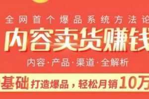内容卖货赚钱：阿火爆品策略，0基础打造卖爆品，每月轻松躺赚10w+