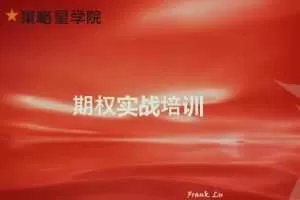 华尔街期权量化队