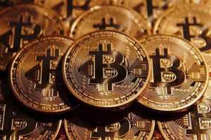 金马带你定投区块链系列课程