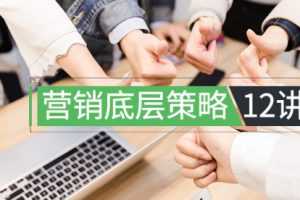 程瑞芳：营销底层策略12讲