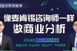 升级版-像麦肯锡咨询师一样做商业分析