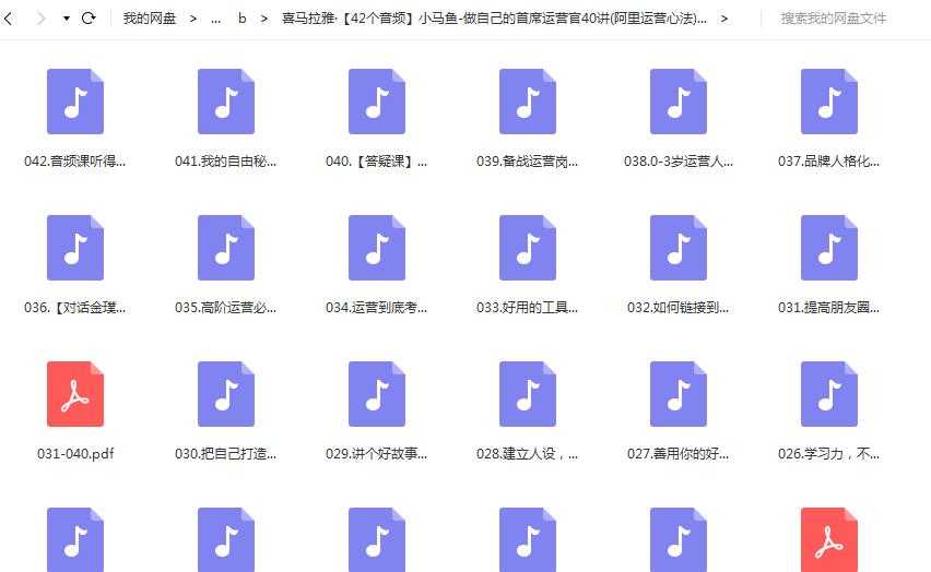 小马鱼:做自己的首席运营官40讲(大厂牌运营心法)课程目录：