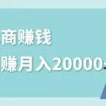 社交电商赚钱被动躺赚月入20000+，躺着就有收入（视频+文档）