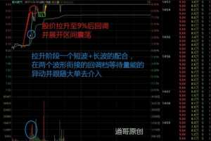 【道哥】2020年天道兄弟 首板擒牛实战课