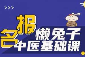 懒兔子中医基础课