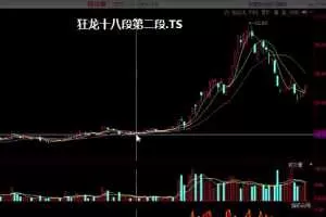 狂龙十八段资金流2016年龙大龙妈合集