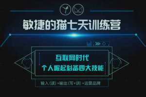 敏捷的猫七天训练营～个人崛起