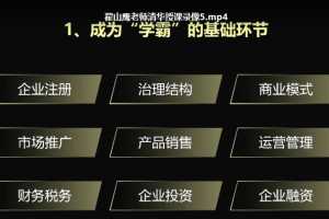 翟山鹰清华授课讲座视频-如何成为中国民营企业的“学霸”标杆