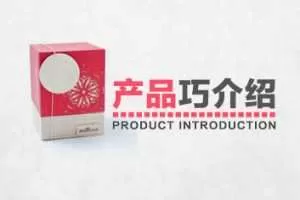 产品巧介绍详细分析产品介绍的各种法则和技巧