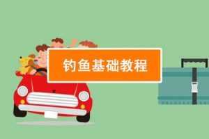 【钓鱼技能】钓鱼视频教程实战大全技巧