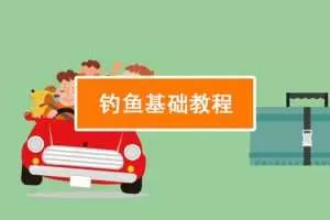 【钓鱼技能】钓鱼视频教程实战大全技巧