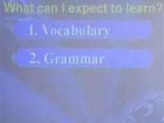 《跟Elaine老师学新概念英语2重点知识》全套教学视频（25集）