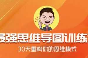 瑞敏最强思维导图训练营 30天重构你的思维模式
