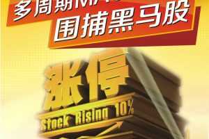 姜伟《多周期MACD围捕黑马股》完整版教程