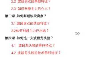 【金龙】波段擒龙 波段大师 实战系列视频课程全七集