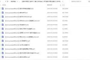 威科夫：量价分析创始人-学习威科夫理论宝藏之技术视频大全集