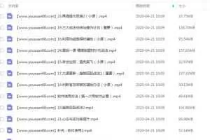 控盘猫机构操盘系统培训课 25集+软件