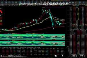 【易投学院】YY课堂培训《123战法》《筹码分析》