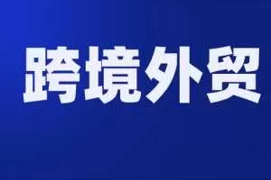 2020年跨境外贸独立站运营打法视频教程