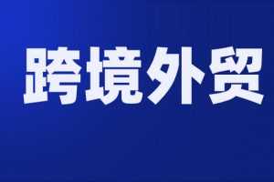 2020年跨境外贸独立站运营打法视频教程