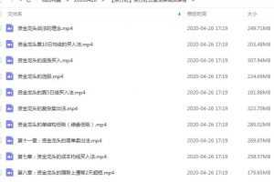 东方红 资金龙头战法视频课程 陈晨系统培训课