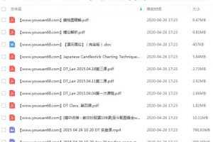 毕肯证券学院 Mr Lan DT实战课视频课程+讲义