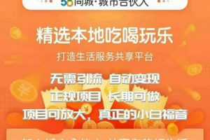 58同城城市合伙人自动赚钱项目，长期稳定，项目可放大，外面出售88元项目